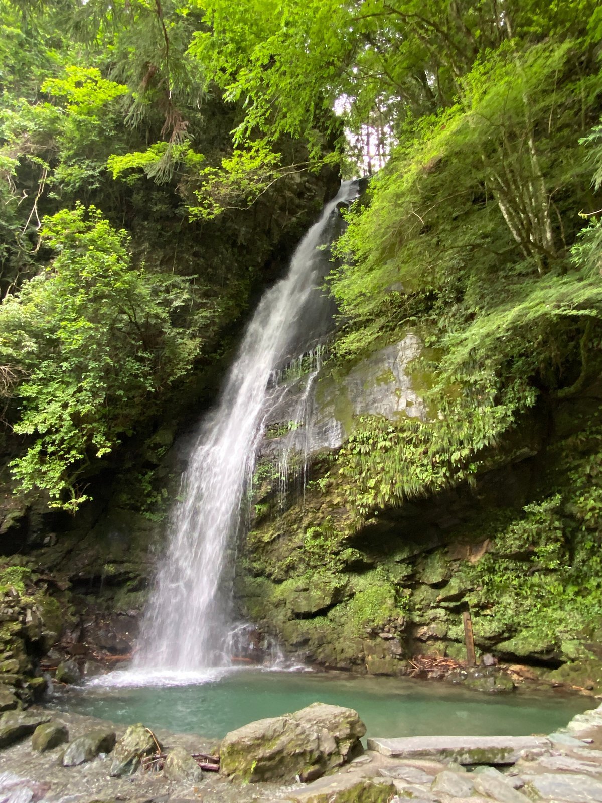 🌊 비와 폭포(비와노타키) 이미지 7